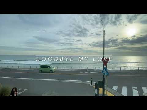 Goodbye My Love by Vicky von Vicky