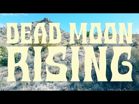 Cactus Flowers - Dead Moon Rising