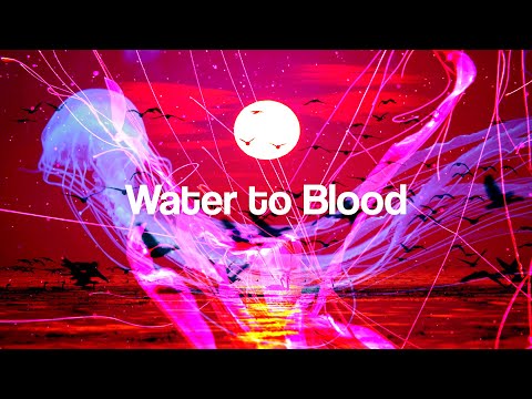 Water to Blood by Anne Stott (OFFICIAL LYRIC VIDEO)