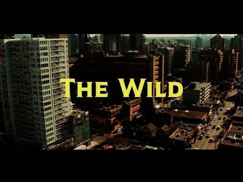 Joey Stylez - The Wild (Official Music Video)