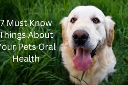 7 must know things about your pets oral health