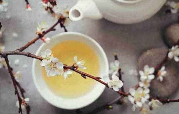 9 Surprising Health Benefits of White Tea 1