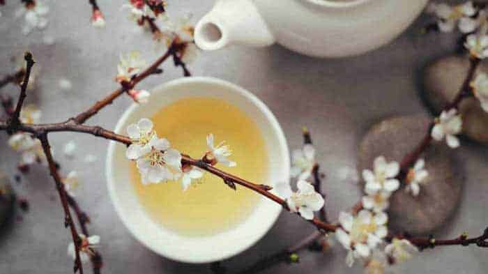 9 Surprising Health Benefits of White Tea 1