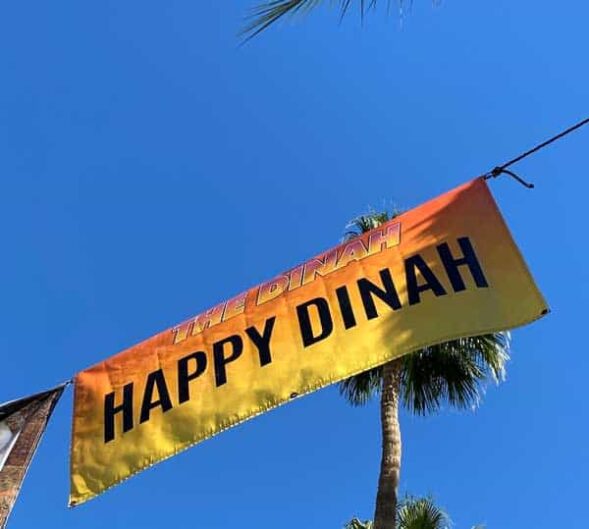 Happy Dinah29