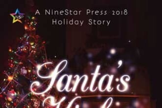 Holiday2018Cover SantasKinkyElfSimon f500 1