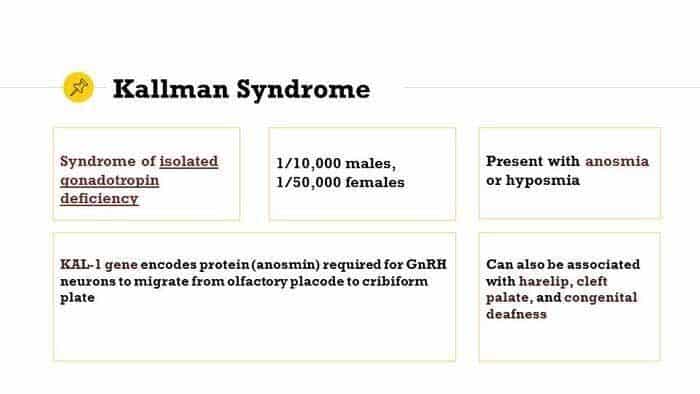 KallmanSyndrome