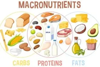 Macronutrients