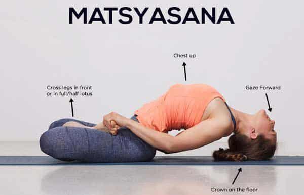 Matsyasana