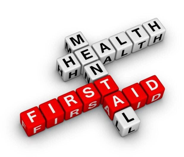 Mental Health First Aid Guide Strategies to Aid your Loved Ones on Their Wellness Journey