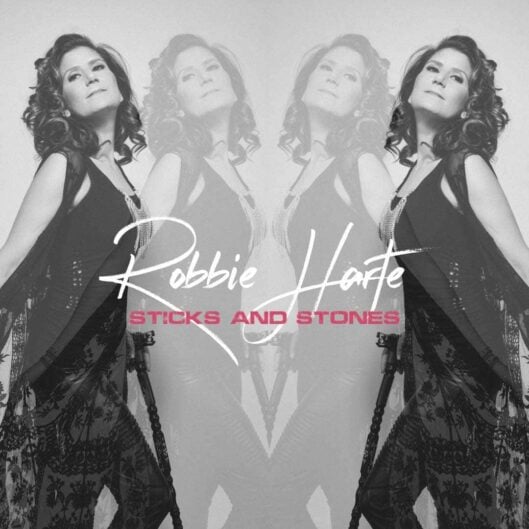 SticksAndStonesAlbum Cover Robbie Harte