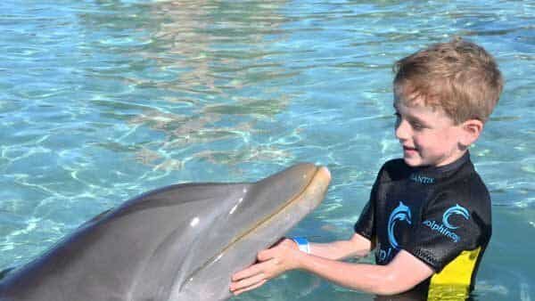 Swim with dolphins copyrights www.atlantisthepalm.com