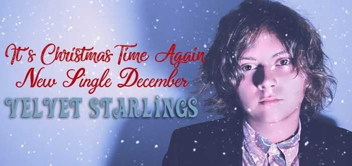 Velvet Starlings Its Christmas Time