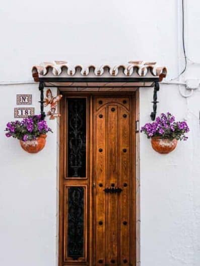 brown wooden door beside two purple petaled flowers 10537782