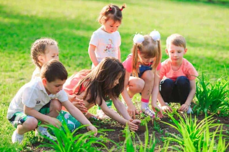 children s hands planting young tree black soil together as world s concept rescue