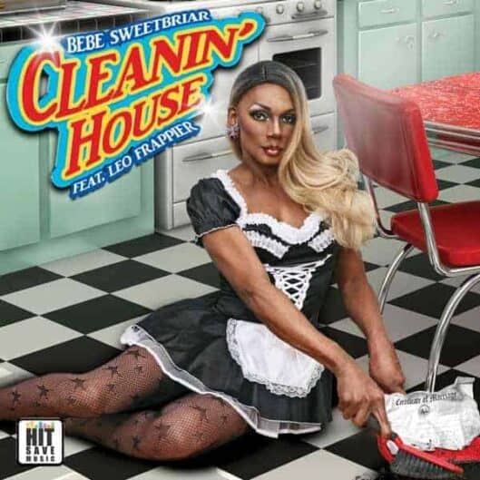 cleaninhouse4 web only