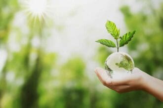 hand holding glass globe ball with tree growing green nature blur background