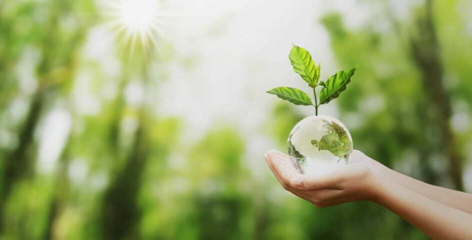 hand holding glass globe ball with tree growing green nature blur background