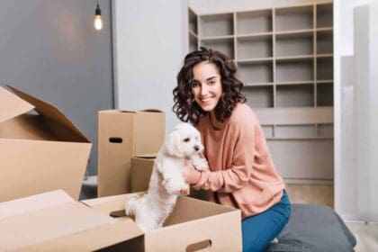 moving new modern apartment joyful young woman finding little white dog carton box smiling beautiful model with short curly brunette hair home comfort