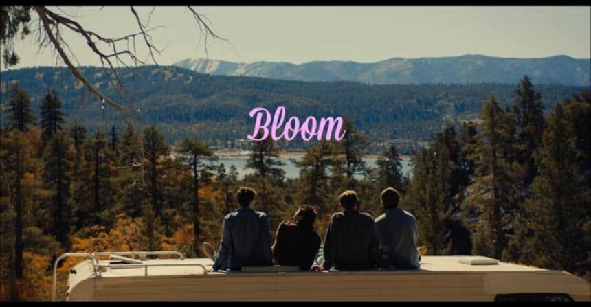 nice vice bloom landscape art