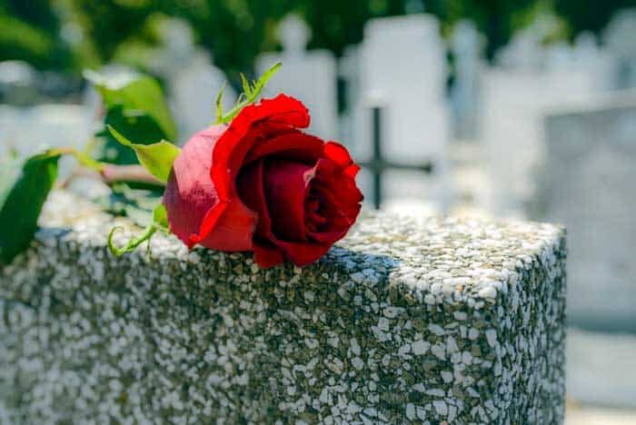 red rose was left gravestone graveyard someone who passed away