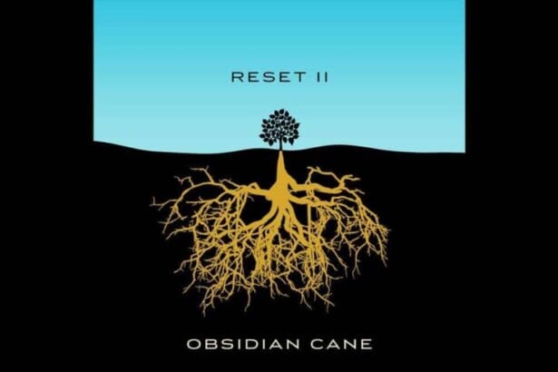 reset ii coverart