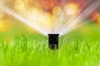 sprinkler head watering green grass lawn gardening concept