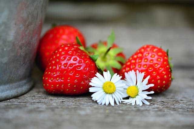 strawberries 3974646 640