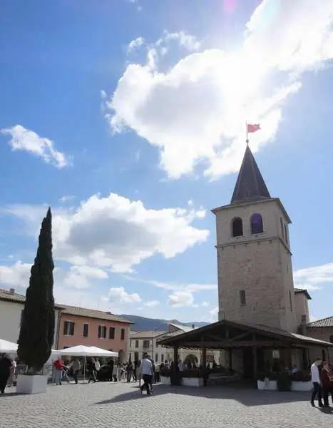 Annual Festivals Celebrating Istrian Heritage