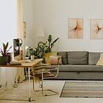 Living Room with Houseplants