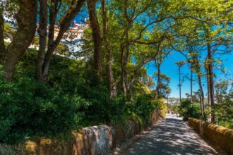 Cycling the Wild Coast of Sintra and the Portuguese Uplands